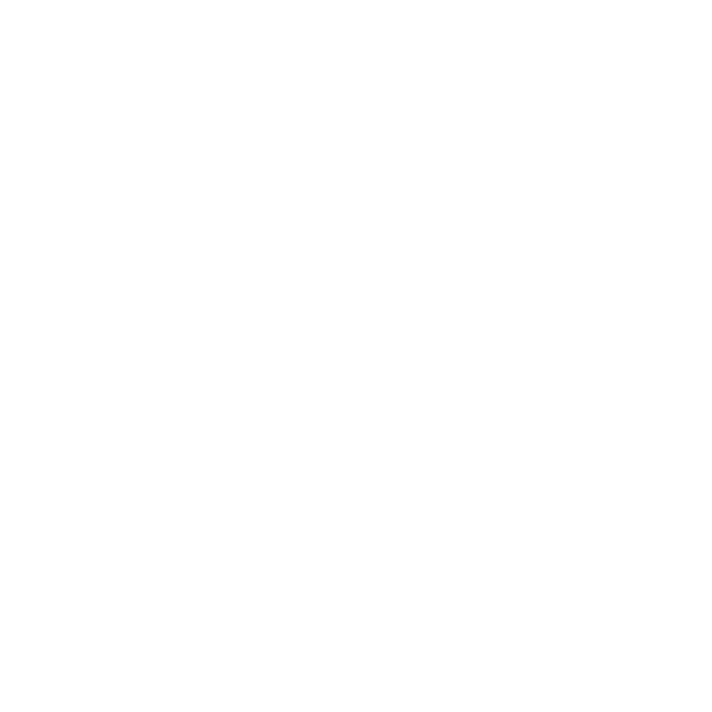 SkyElite Holdings Logo